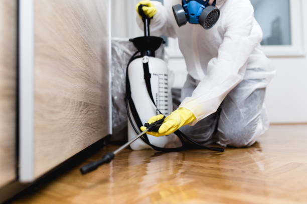 Best Residential Pest Control  in Hwatha, IA
