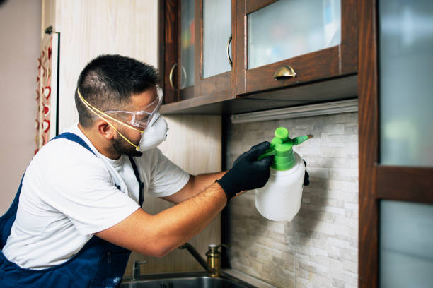 Best Pest Control Near Me  in Hwatha, IA