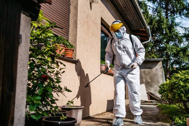 Best Mosquito Control Services  in Hwatha, IA
