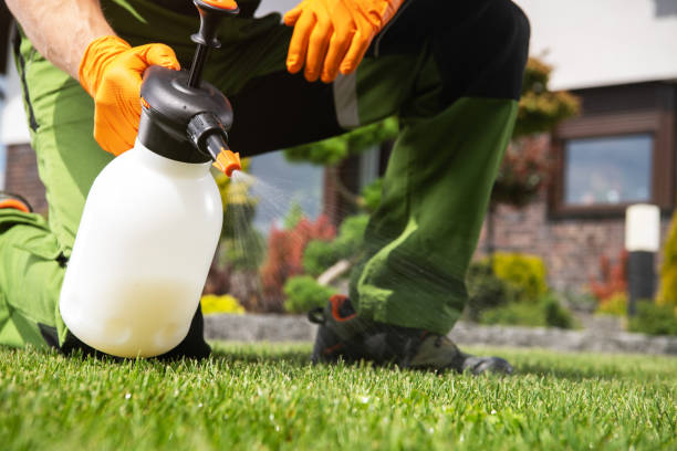 Best Emergency Pest Control  in Hwatha, IA