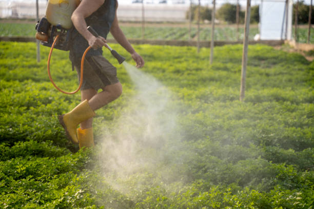 Best Residential Pest Control  in Hwatha, IA