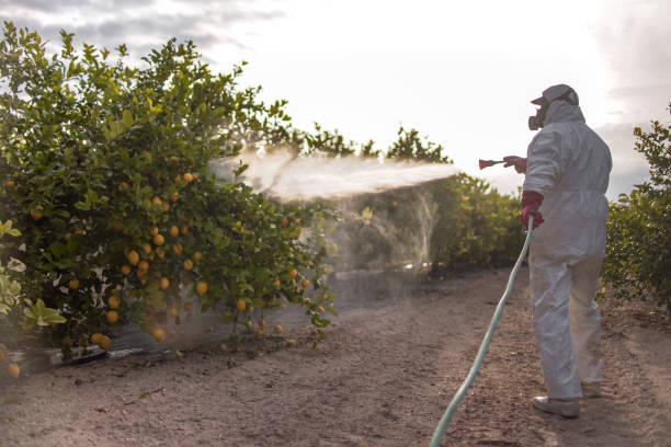 Best Best Pest Control Companies  in Hwatha, IA