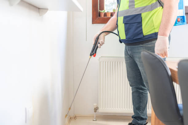 Best Local Pest Control Services  in Hwatha, IA