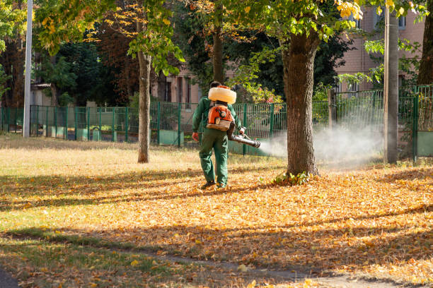 Best Pest Prevention Services  in Hwatha, IA