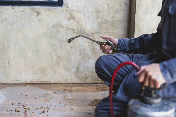 Best Wasp Removal Services  in Hwatha, IA